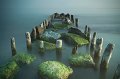 1017 - sea - DUBIEL CEZARY - poland